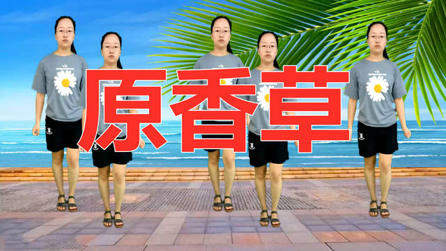 火爆广场舞《原香草》妹子跳得娇羞妩媚韵味十足,简单易学