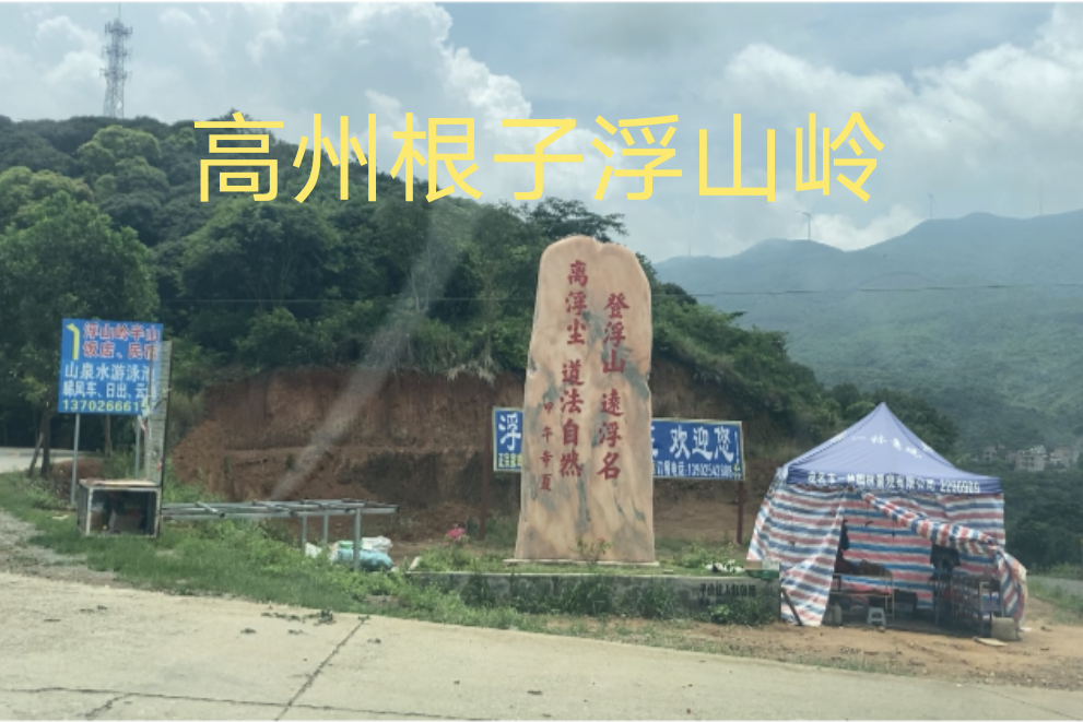 去高州根子荔枝之乡,再上高峰浮山岭,心情不是一般好