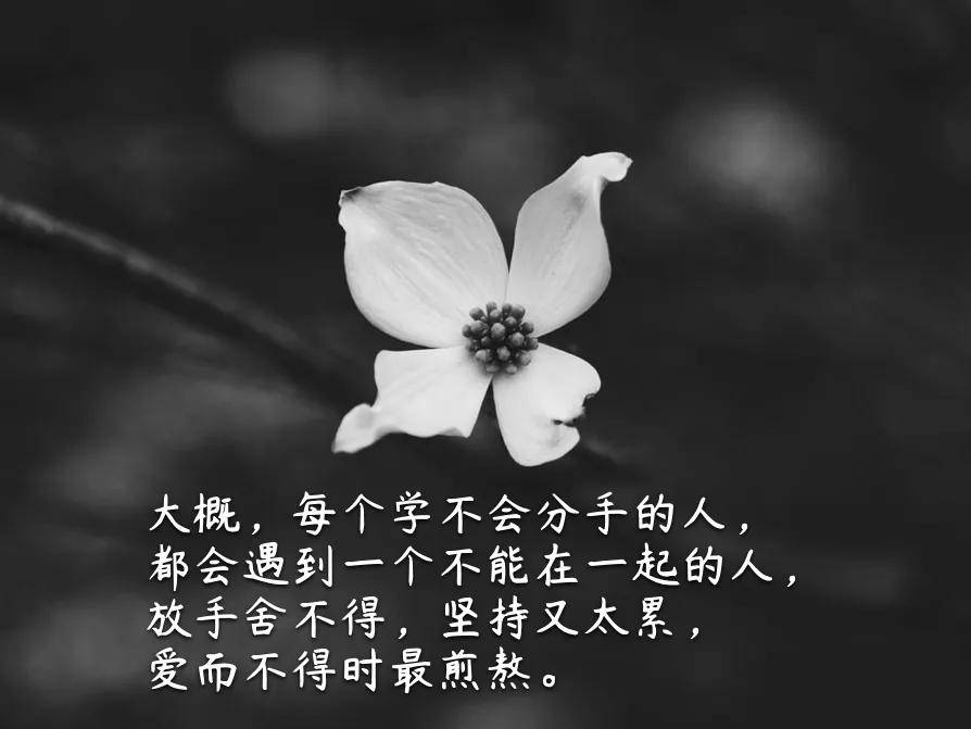 伤感伤心的句子图片带字大全，心累心烦的伤感情感语录说说
