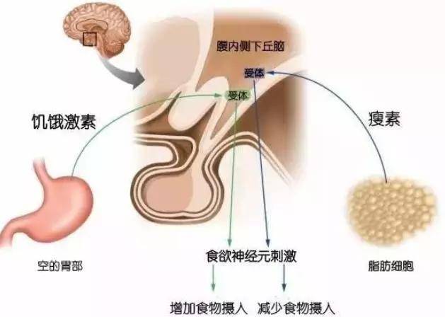 be5d67f7a18f438685d6c8a5580b17f1.JPG