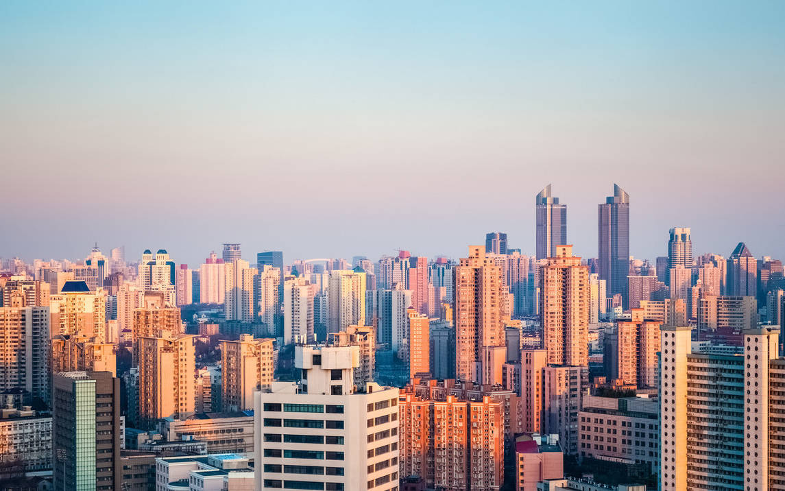 城市实住人口_人口普查(3)