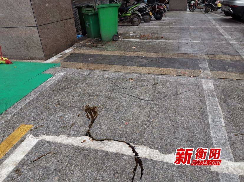 向不文明行为说“不”：人行道何时成了商家的