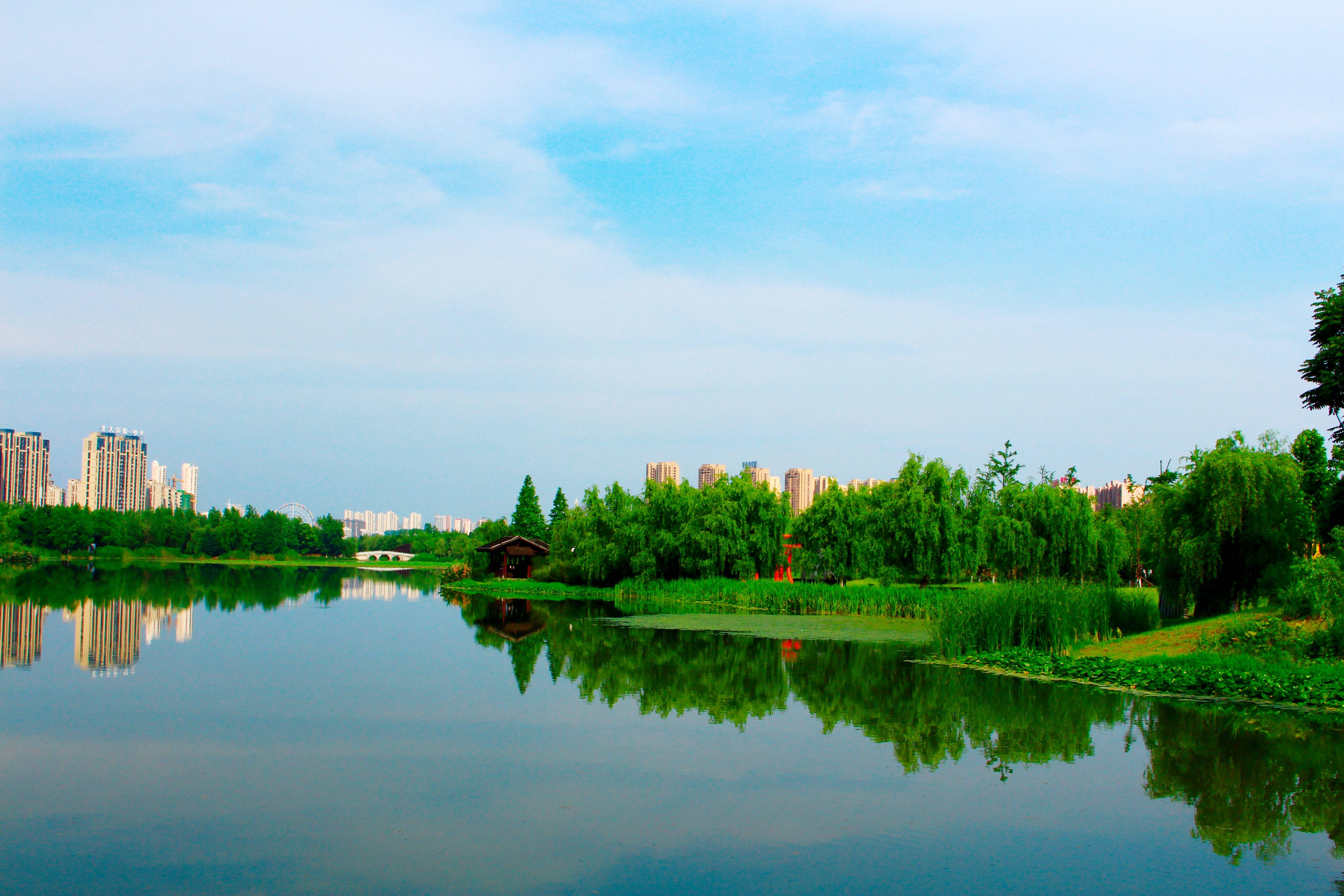 长沙洋湖湿地公园的美景