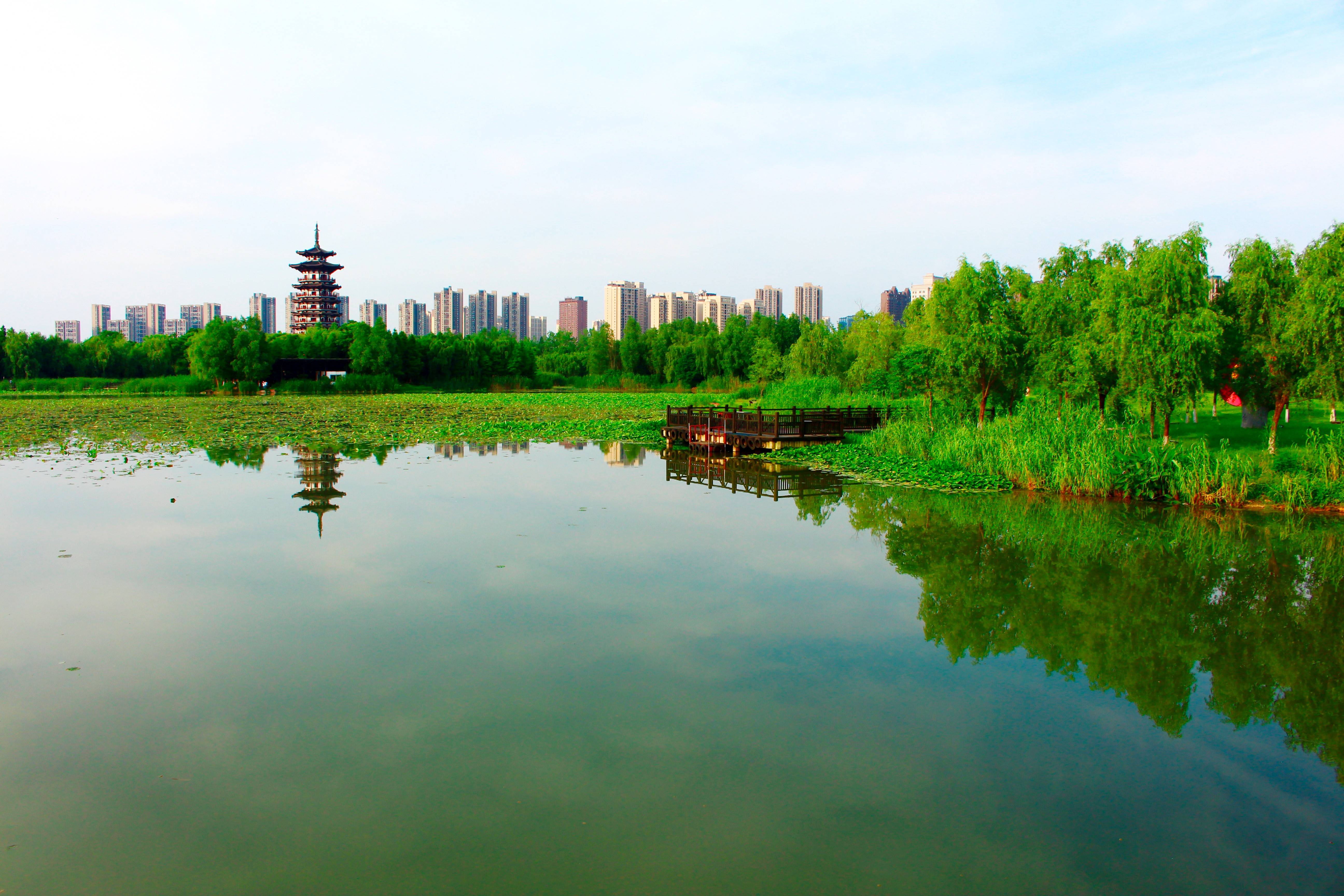 长沙洋湖湿地公园的美景