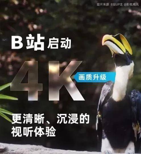 B站视觉创造胃口暴涨，4K超高清画质或将霸屏5G时代