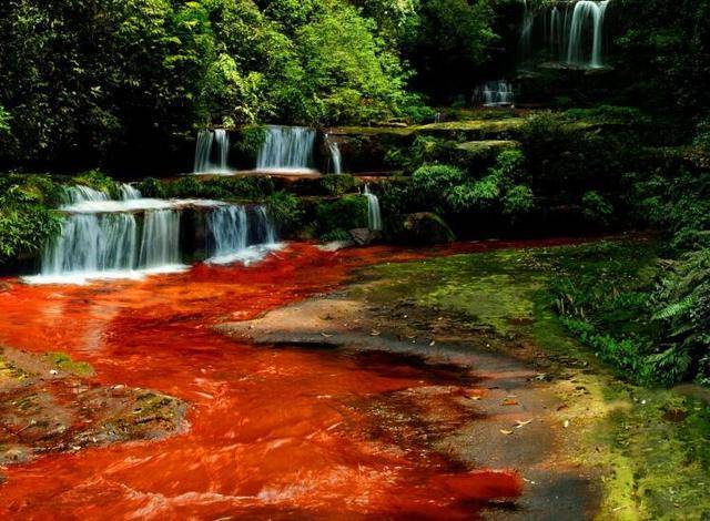 赤水gdp_NO.237 赤水 旅游 扶贫 奏响富民音