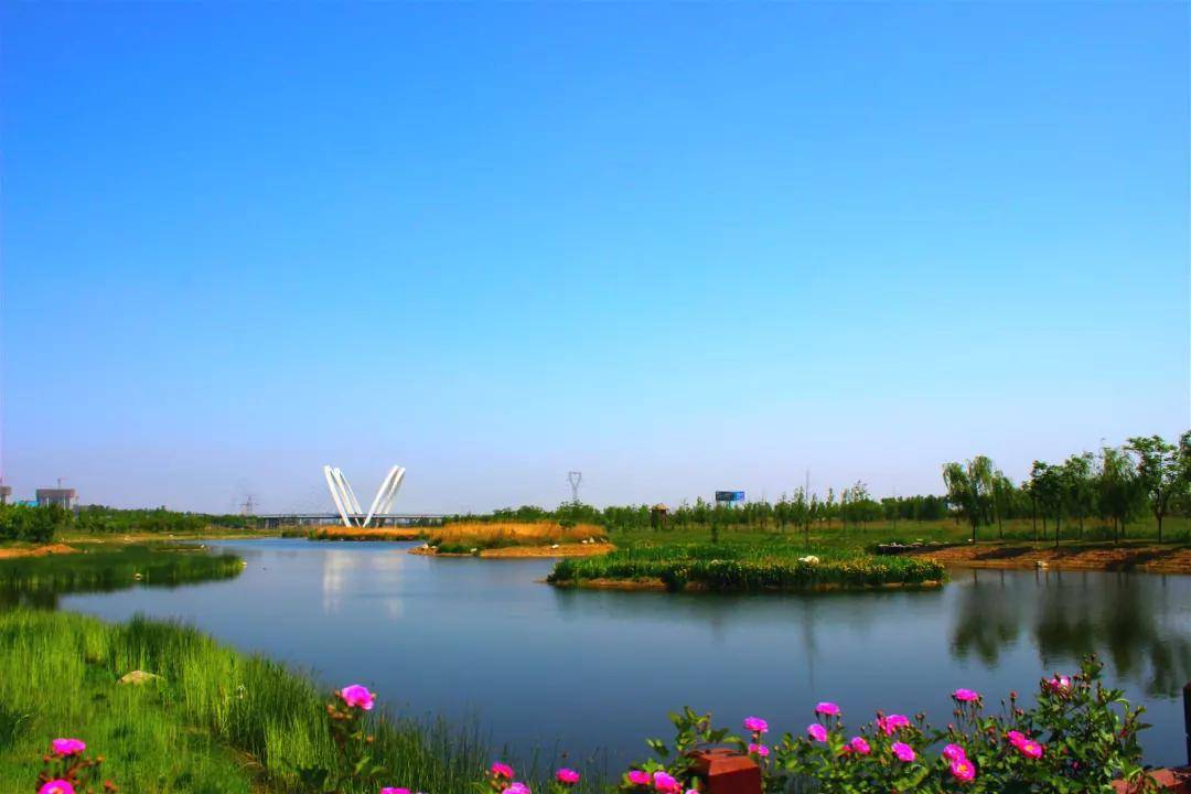 沣河湿地公园实景