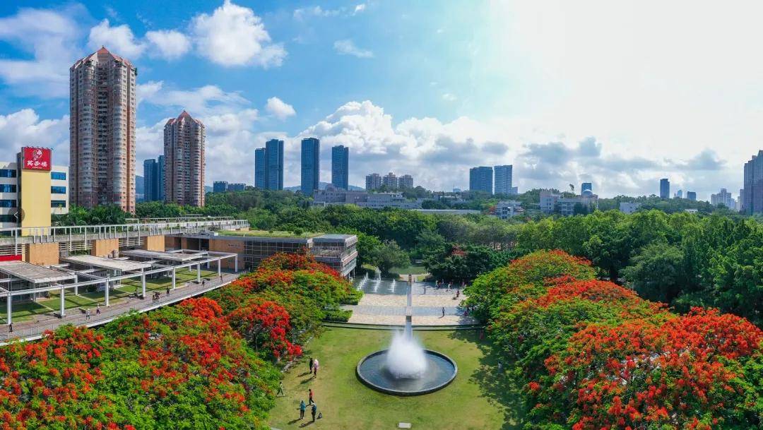 像 东湖公园,华侨城生态广场 在5月的初夏 早已红得耀眼 惊艳了来往