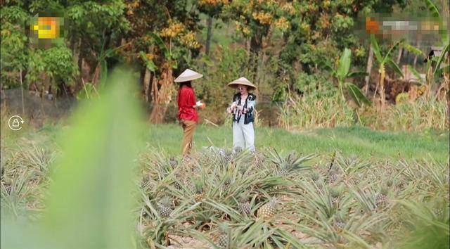 香奈儿时髦依旧！王鸥穿一身香赶飞机却显土气周迅穿4万7香奈儿干农活