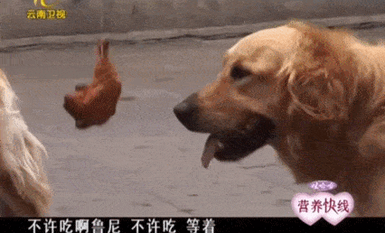 内心毫无波澜,甚至有点小困.