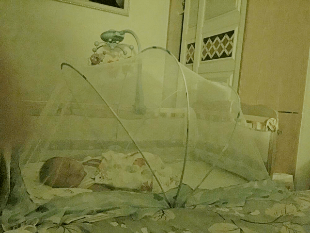 [蚊子]宝宝半夜哭闹不止，防蚊有绝招，只需四招蚊虫来袭