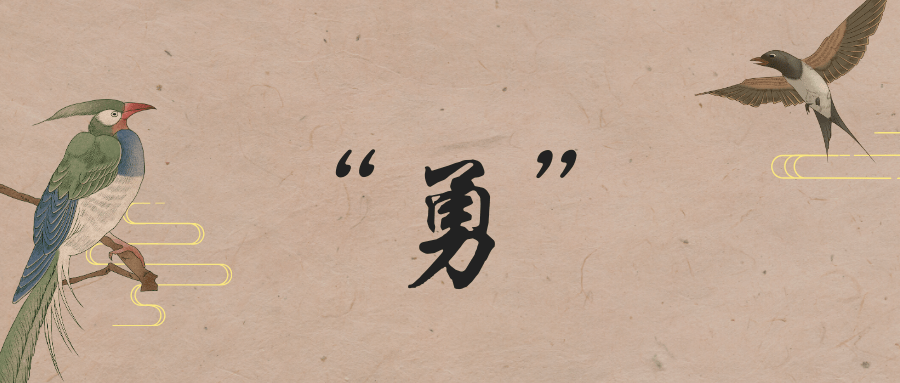 5fa8266d650a46e687fecd9a1e04f2dc.png