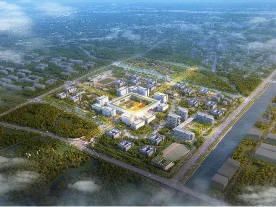 #中国大学#最强王者果然是他一流学科建设高校综合实力大PK
