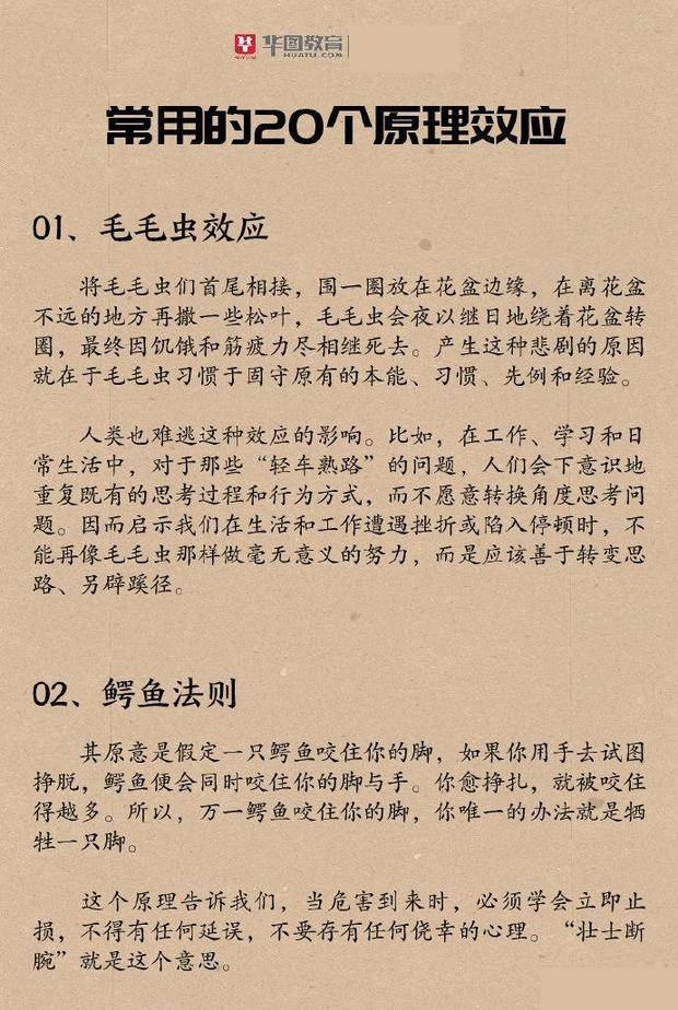 飞轮效应是什么意义 afdda327f1ba487799d93babec0bbe94.jpeg