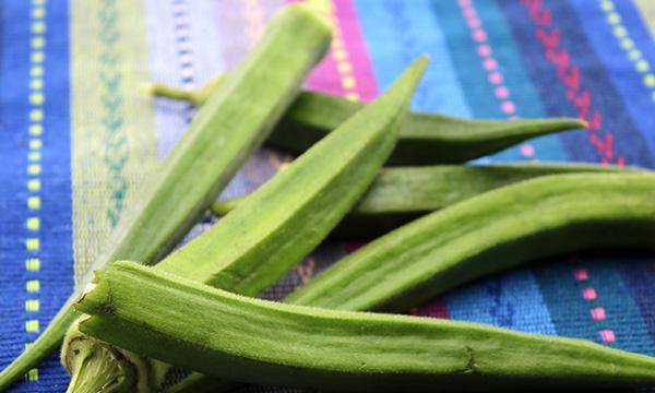 啥时候开始种秋葵 ef5b7e0464454d7e8ebb99c72f9203d5.jpeg