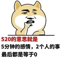 520专用表情包别难过我不允许你输给任何人你可以转账给我