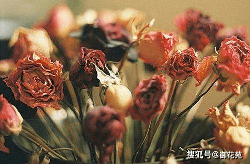 根据自己的喜好做好形状,尽量把它分成更小的