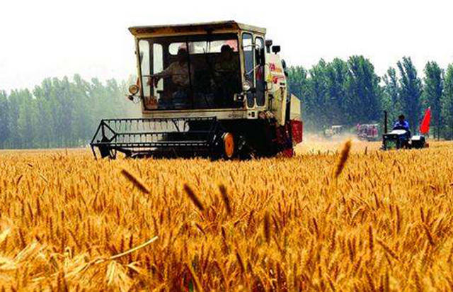 收割机价格对比 778b1d108119467bb4974b632996cd41.jpeg