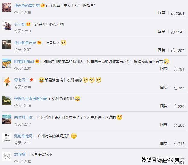 好的网络名字男 3de5b026dc65405cb596e9d07f71c01c.jpeg