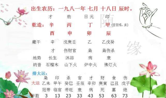 什么样的八字命里带木命 五行探秘｜你命中的"木属性"藏在这些细节里