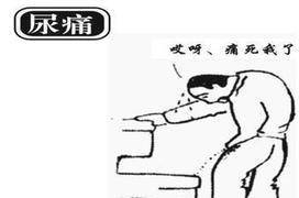 25088df9f63e4c7bb684908e248b2802.jpeg