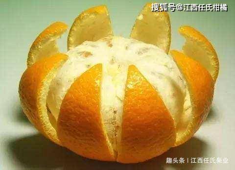 2b8c29d3abcb4fbc850d070907554fd0.jpeg
