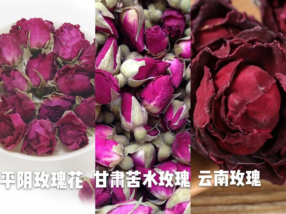 玫瑰花|玫瑰花鲜花蕾供不应求，厂家市场进货价格还将上涨！