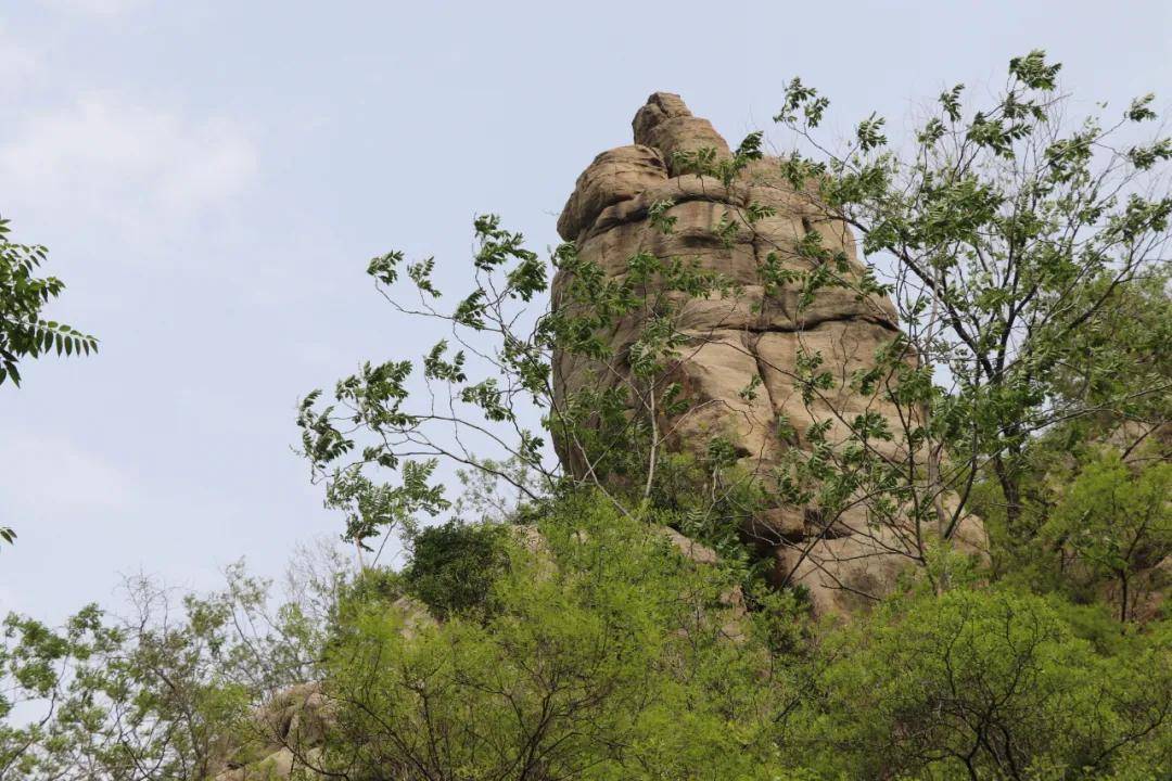 天热时爬山,在石家庄当爬封龙山,绿树成荫,现又新修一条爬山路