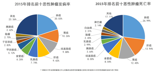 什么是基因突变阳性 c7a9eaf2782f433ba8fdbf90ea613d35.png