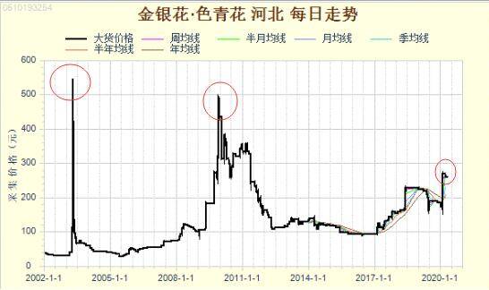 金银花|高价金银花产新 打开厂家进货价格行情下滑通道