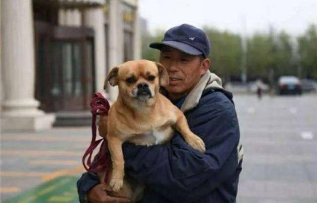 狗为啥会锁着 6ad0924c81e648caa2257585569c35a6.jpeg