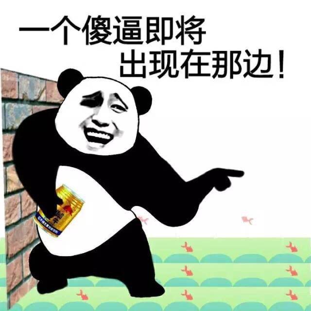 搞笑斗图表情包:给我安静点小熊猫,不要搞事情