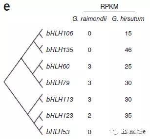 棉子简谱_勇气棉子简谱(2)