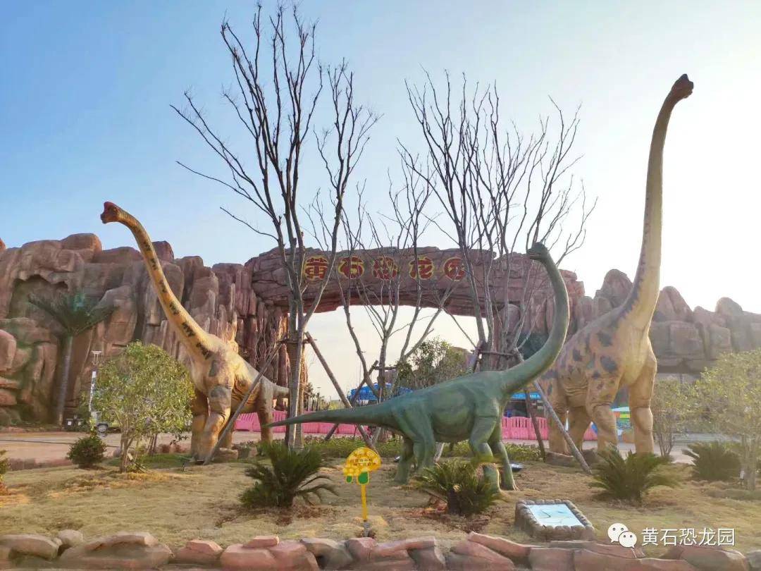 恐龙园联系电话:18772263338地址:大冶市城东北片区尹家湖公园内门票