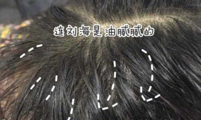 3bd80b0a01d749239c75746249c6bee6.jpeg