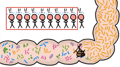 维持身体机能的正常运转;2,早餐添加一杯酸奶:酸奶富含益生菌,能增加