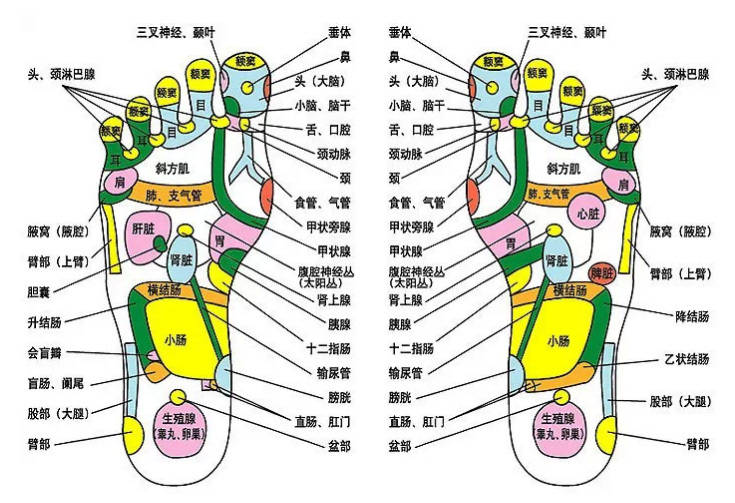 日常用"第三医学"养生:揉脚保健 _脚心