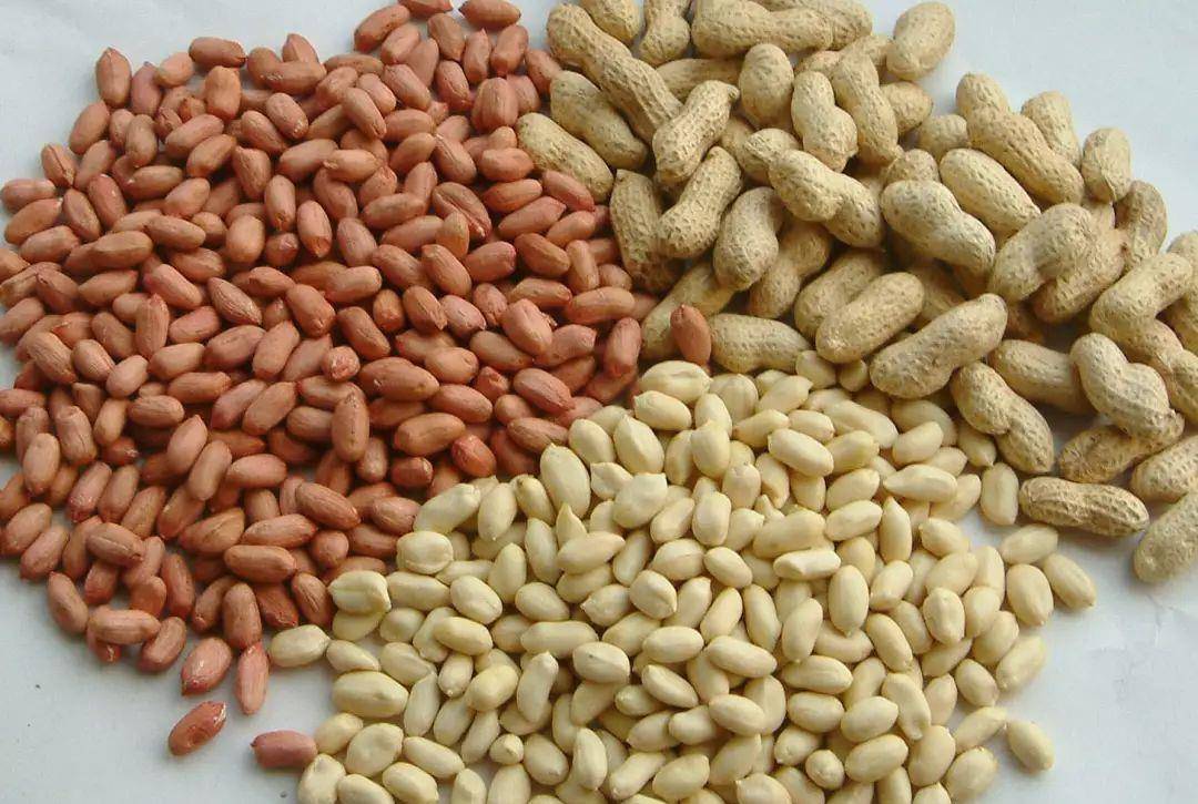 什么季节种花生呢 1821243c96af4c1e992bd904e6c6d7e4.jpeg