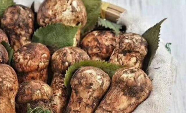 松茸的功效与作用用途是什么 5f185f28678e45b4a77887b152f5146c.jpeg