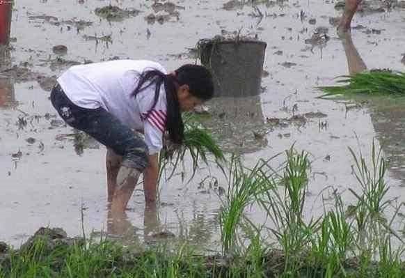 湖南高校非毕业班不返校！关于网课、住宿费有什么消息？