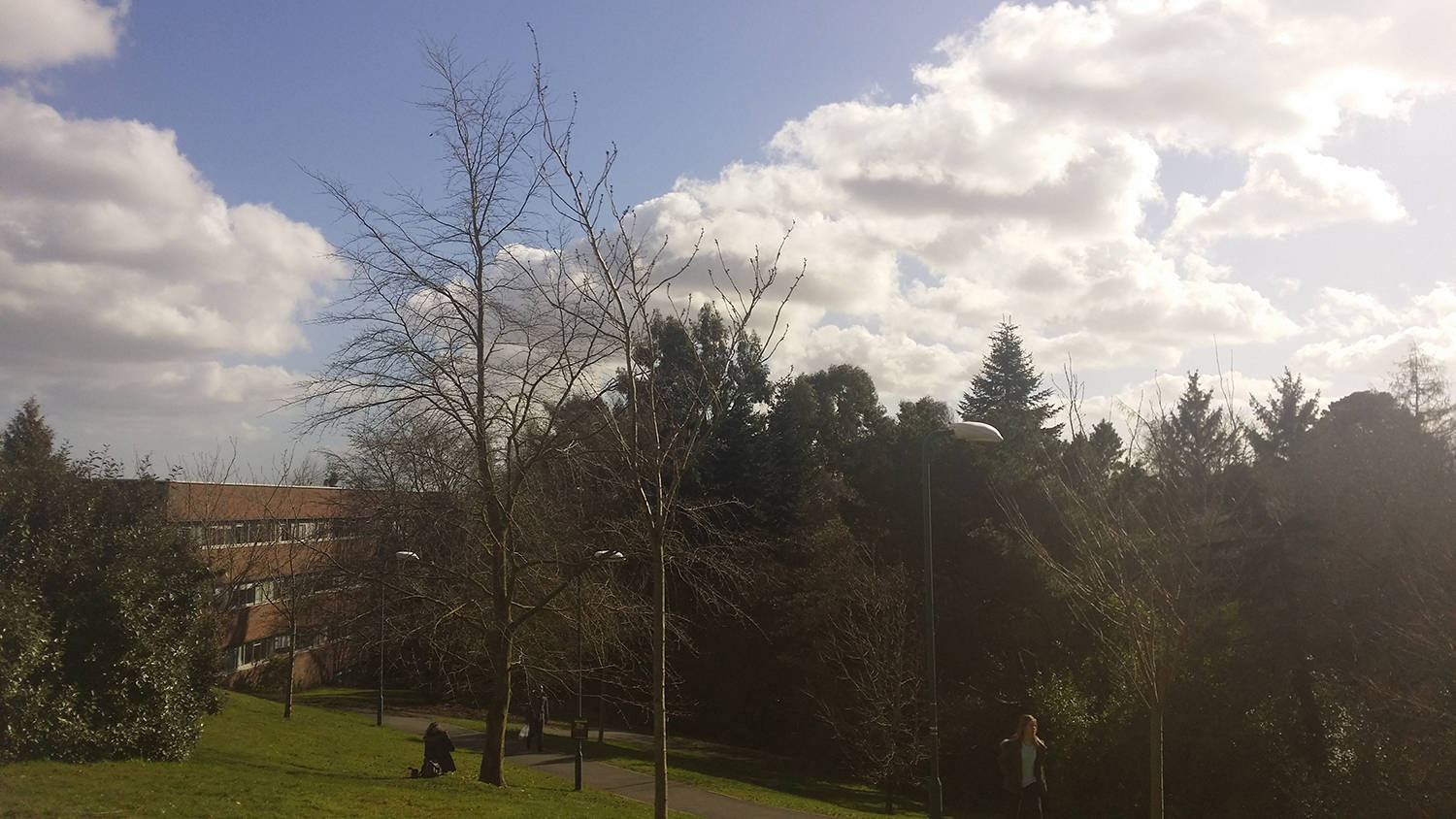 东安格利亚大学2020_东安格利亚大学回国就业真实现状