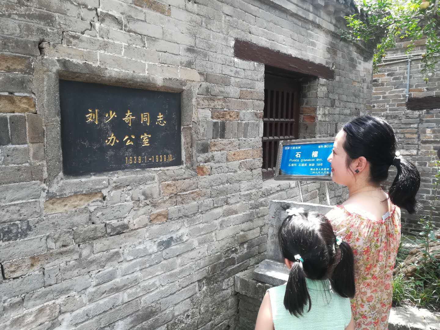 "小延安"确山县竹沟:石榴红胜火,一家四代情_革命