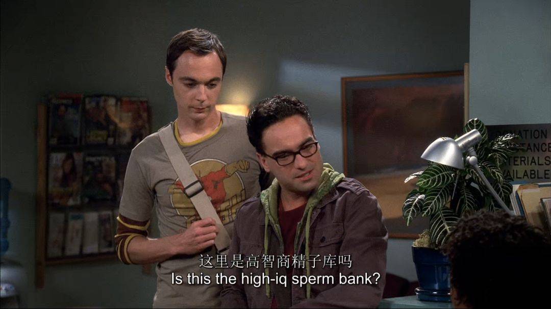 中英|《生活大爆炸》全12季中英字幕1080P高清视频+中英剧本！附下载方式！