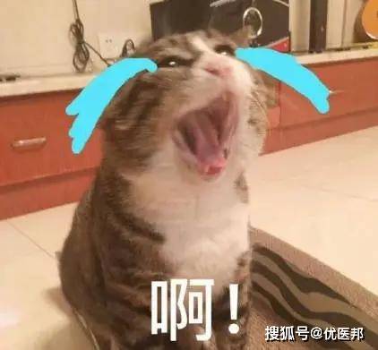 如何快速止笑 da5b0e8dfde9462c929f146e8daadbd1.jpeg