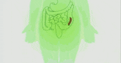 f5fb2777160c47fd990ae86df4c5d49b.gif