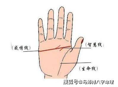 4,有断掌掌纹且具有两条生命线,两条情感线