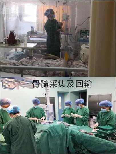 动态心电图24小时监测仪能检查出什么 0417d9f9ae2a4744a161c5c1454c2be7.jpeg