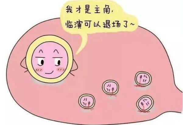 186d5ca7758049dab476527ae2741a97.png