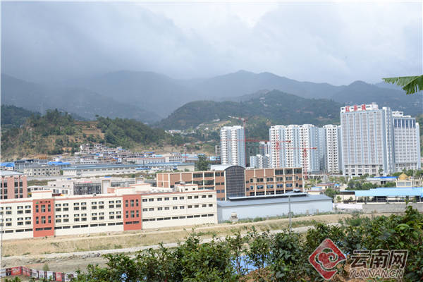 云南凤庆县特色园区筑牢核桃坚果产业发展根基