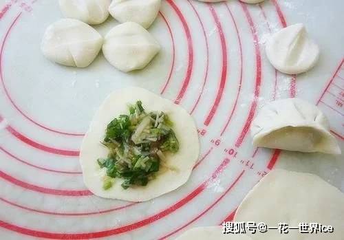 夏天什么饺子馅 3052610d3de84263a8e8f6057aa68513.jpeg